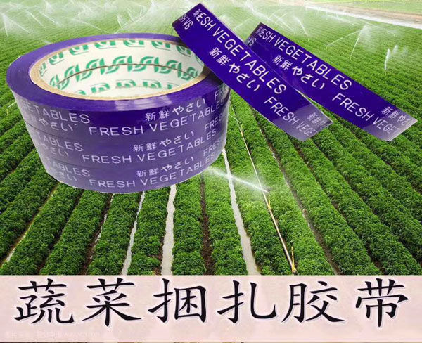 滁州封箱胶带 (5)